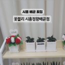 꽃블리시흥정왕배곧점 이미지