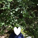 메아리산장 이미지