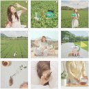 톤앤매너