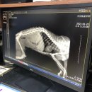 한양동물병원 이미지