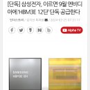 [단독] 삼성전자, 이르면 9월 엔비디아에 ‘HBM3E 12단’ 단독 공급한다. 이미지