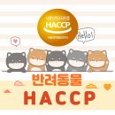 행정사이선동사무소 이미지
