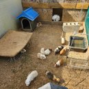 카페더뷰 - 밀양시 삼랑진로 1540-9 | 충주댐 뷰맛집 카페 추천! 아이랑 가기 좋은 '더뷰카페' 내돈내산 후기