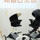 코지트