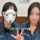 돈하우스 이미지