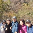 늘벗목장 네이버블로그