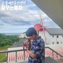 꿈꾸는풍차애견동반펜션 이미지