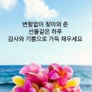 🍒 100년 허리 유지법 🍒서울대 재활 의학과 정선근 교수의 100년 허리 유지법 이미지