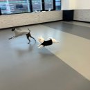 도그베이 동탄호수공원점 이미지