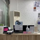 [일산/웨스턴돔] 라페스타네일 ‘진네일스킨앤바디’ 오로라네일 후기