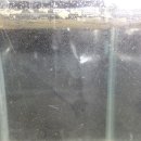 비제이팜 이미지