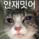 오 눈 온다