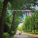 🌳 도심 속 푸른 쉼터, 아이와 함께 가기 좋은 ‘서울어린이대공원’ 완벽 정복기!