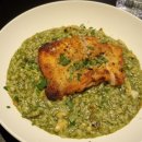 올리브라이브 이미지