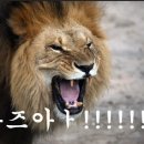 영등포로 이미지