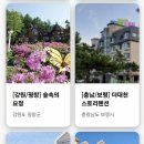 수호천사펜션