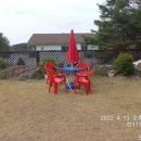 삼촌네 펜션 이미지