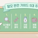 내 건강을 지키는 약과 생활 | 탈모 완전 가이드 – 원인·종류·치료·비용·생활습관 총정리 (2026)