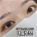 오랜만에 | <네일로브>에서 속눈썹펌 오랜만에 한 후기 | 진주 속눈썹펌, 네일 하기 좋은 곳