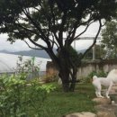 빙수네민박 이미지