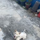 옛경춘로 2L | [ 춘천 맛집 ] 비빔 칼국수 먹으러 송암 칼국수 또 다녀왔습니다 ~