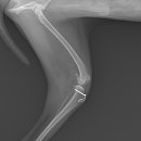 쿨펫동물병원 킨텍스점 이미지