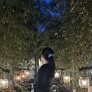 수풀林 | 경북 상주 반려견 동반 가볼만한곳 분위기 좋은 갬성 찻집 추천 우림