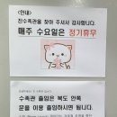진수족관