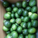 이창희농장 이미지