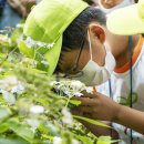 푸르른지역아동센터 이미지