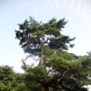 내산서원 이미지