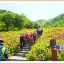 아영면 구상마을 이미지