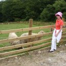 동우목장 이미지