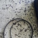 애니카랜드대치점 이미지