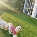 은계유치원 이미지