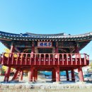 영월부관아 | 영월부 관아(영월 자규루 및 관풍헌) (2020.10.24)