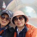 예당공원 Daum카페