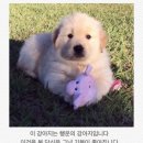 없 음 네이버블로그