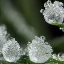 우리들이 보는 세상 이미지