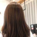 메종드헤어0403 대치점
