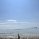 [후기] 태안 샛별해수욕창 차박 후기 (취사, 화장실, 매점, 개수대 O)