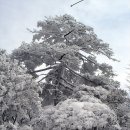 (주)덕유 이미지