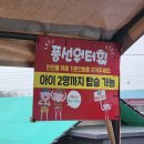 전남목포어썸키즈 | [수영장오픈] 입실부터 퇴실까지 쉴 틈 없는 일정, 전남 영암 들소리키즈글램핑 솔직후기