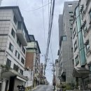 부케바이242 이미지
