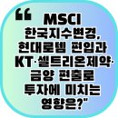 금양인터내셔날현대 이미지