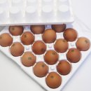 생담원농장 이미지