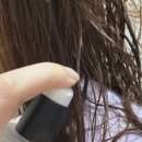 파이브센트 이미지