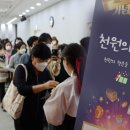 아라리사과대추