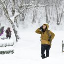 성철목장 이미지