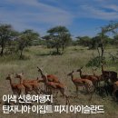 워킹인써클 | 이색 신혼여행지 추천 비교: 탄자니아 이집트 피지 아르헨티나 아이슬란드